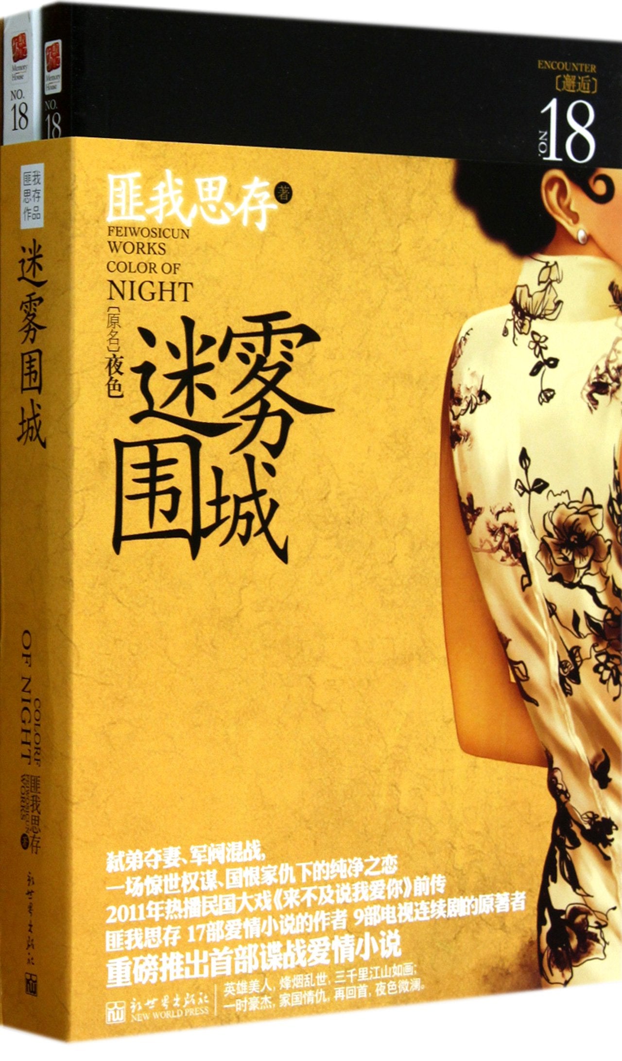 The Misty Fortress (Chinese Edition) Books