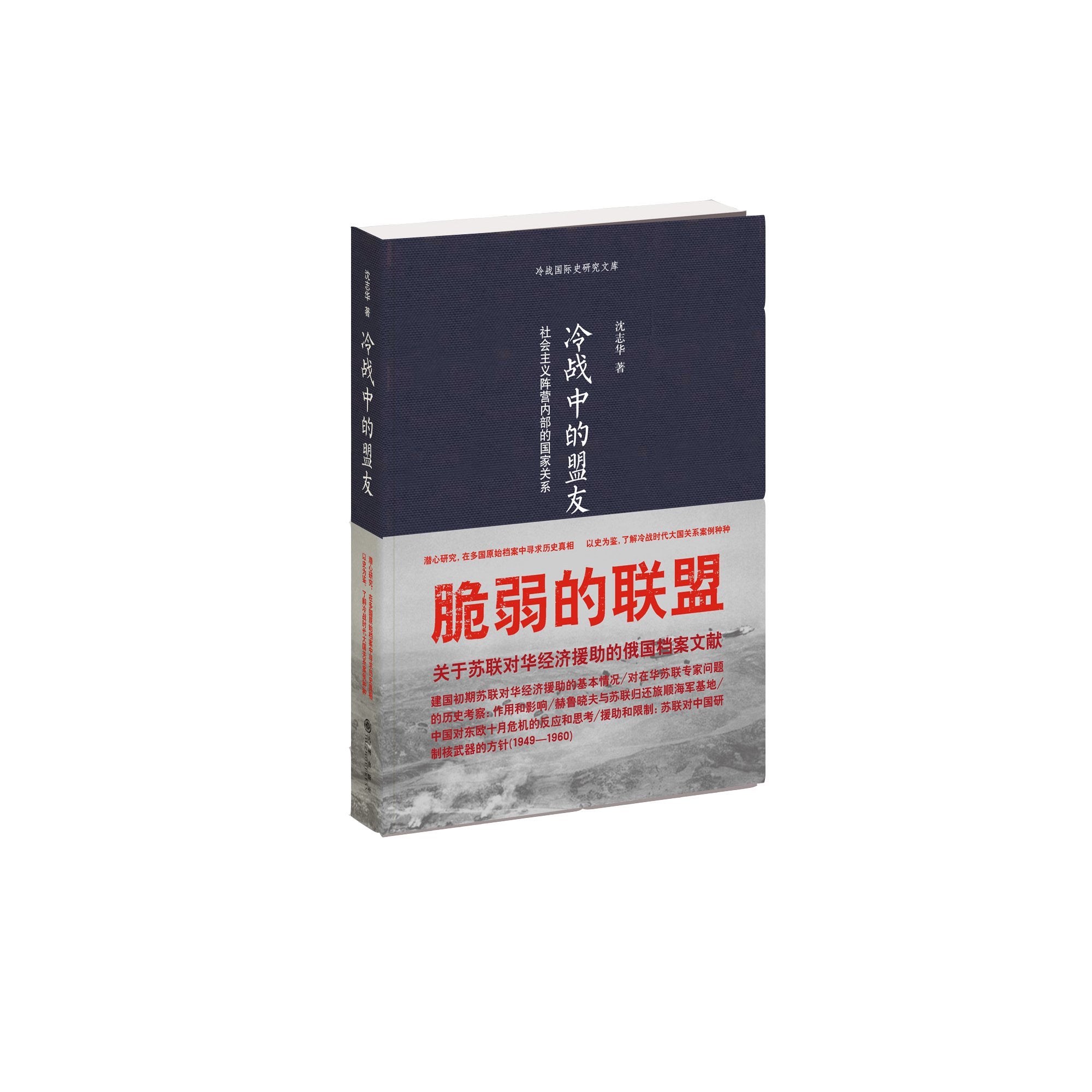 冷战国际史研究文库:冷战中的盟友•社会主义阵营内部的国家关系 book