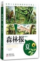 森林报:夏(典藏全译美绘本)【正版图书 放心购买】 Books