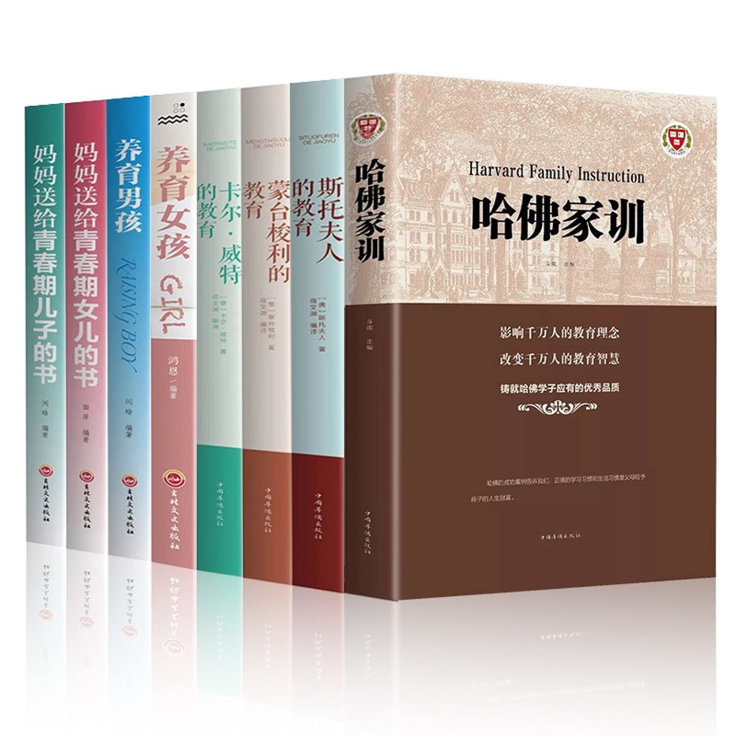 卡尔·威特的教育 蒙台梭利的教育 斯托夫人的教育 book