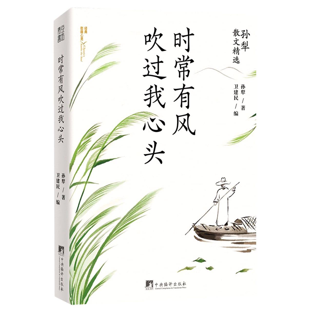 时常有风吹过我心头(孙犁散文精选) Books
