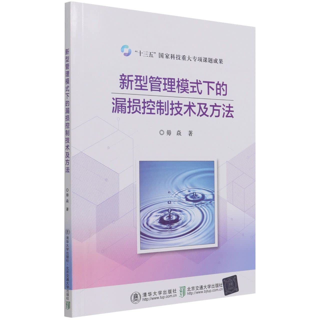 新型管理模式下的漏损控制技术及方法 Books