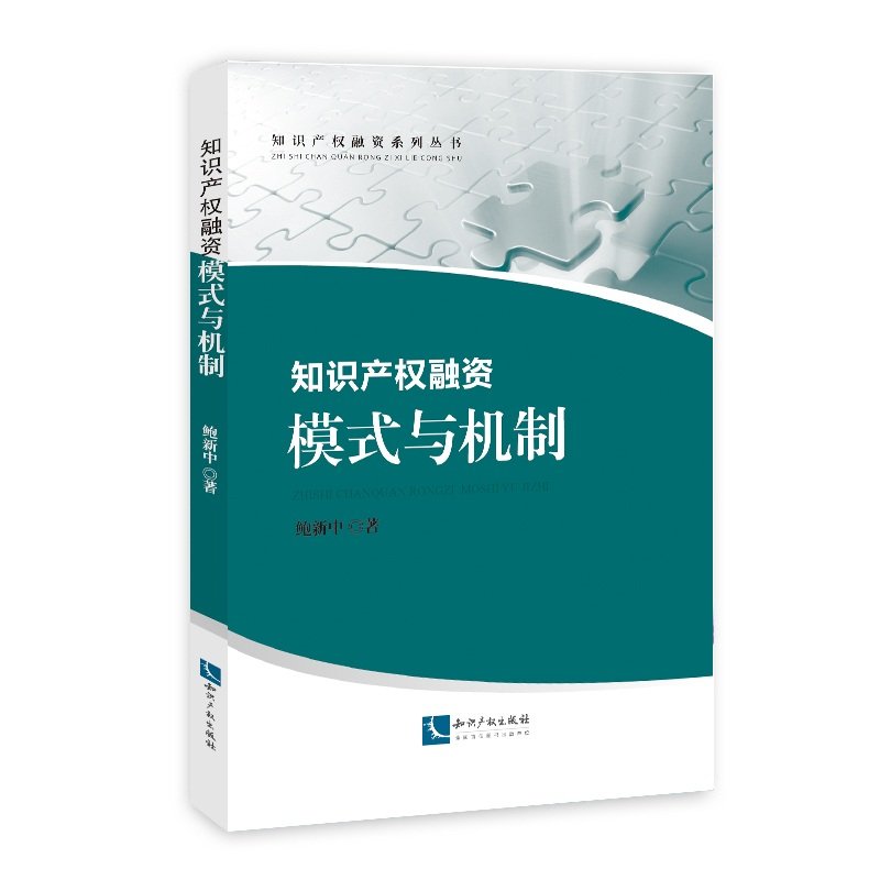 知识产权融资：模式与机制 Books