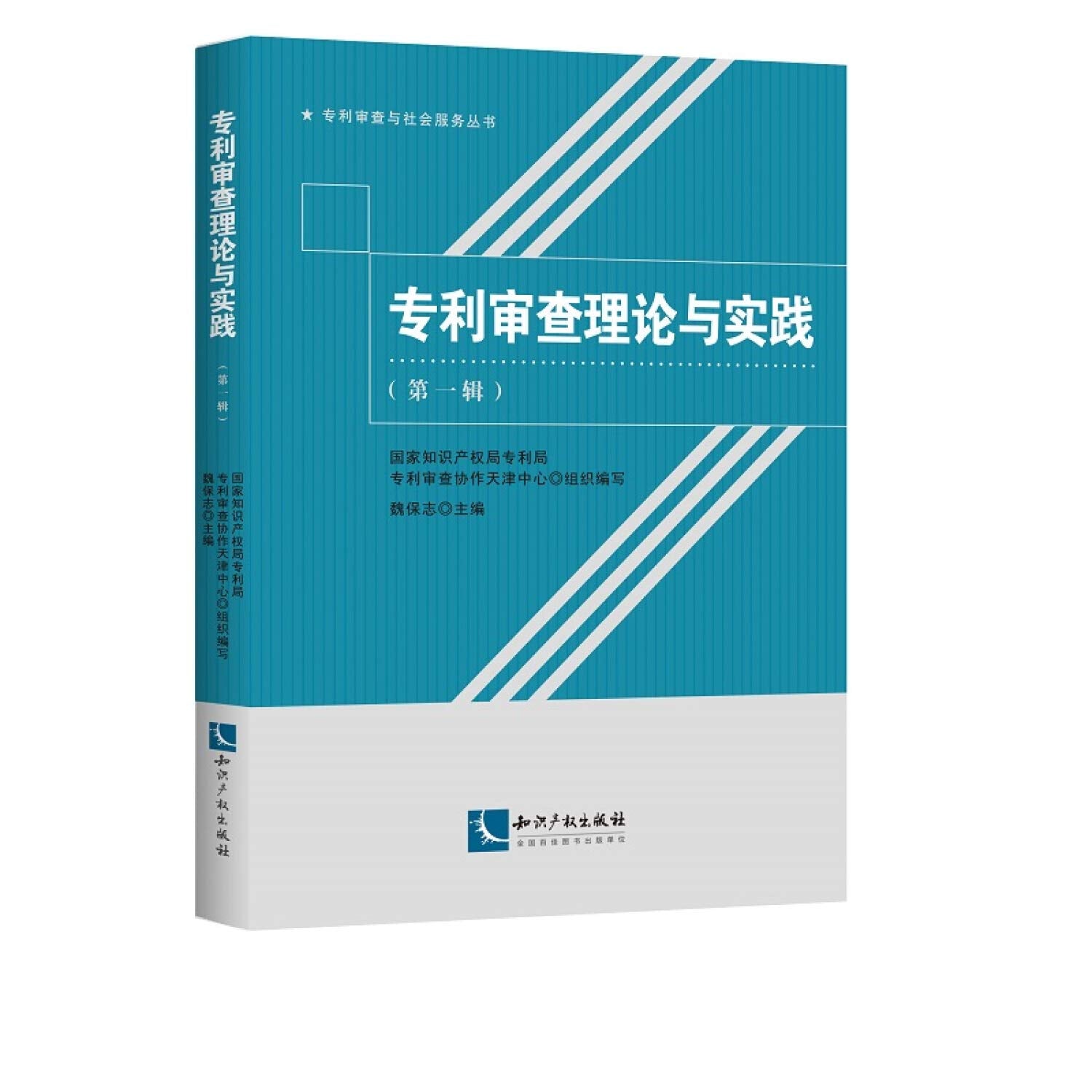 审查理论与实践(第1辑) 魏保志 9787513059909 【新华正版全新 品质保障】 Books