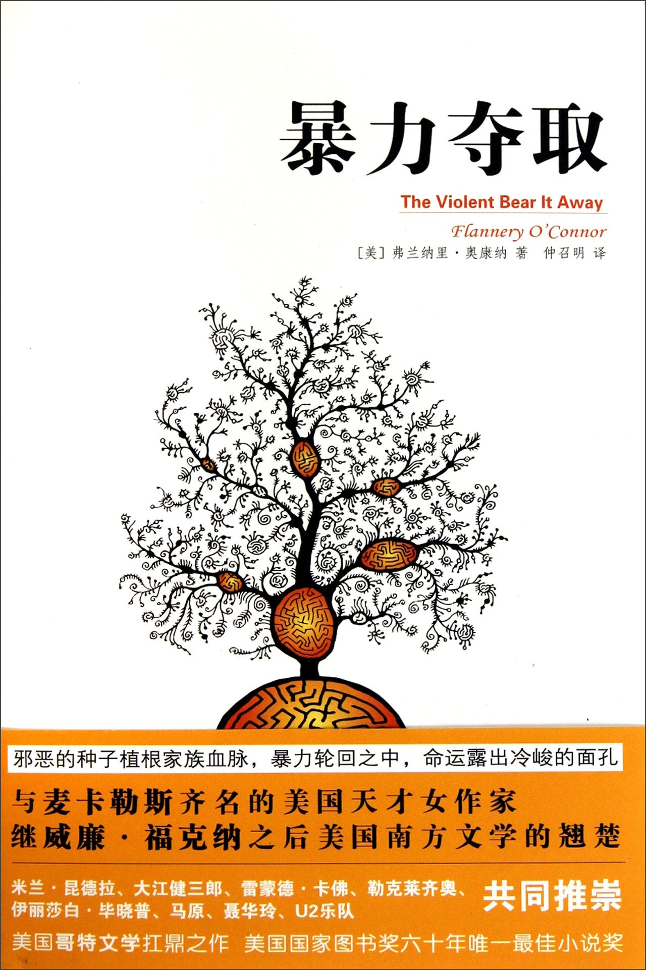 暴力夺取奥康纳新星出版社 9787513301282 Books