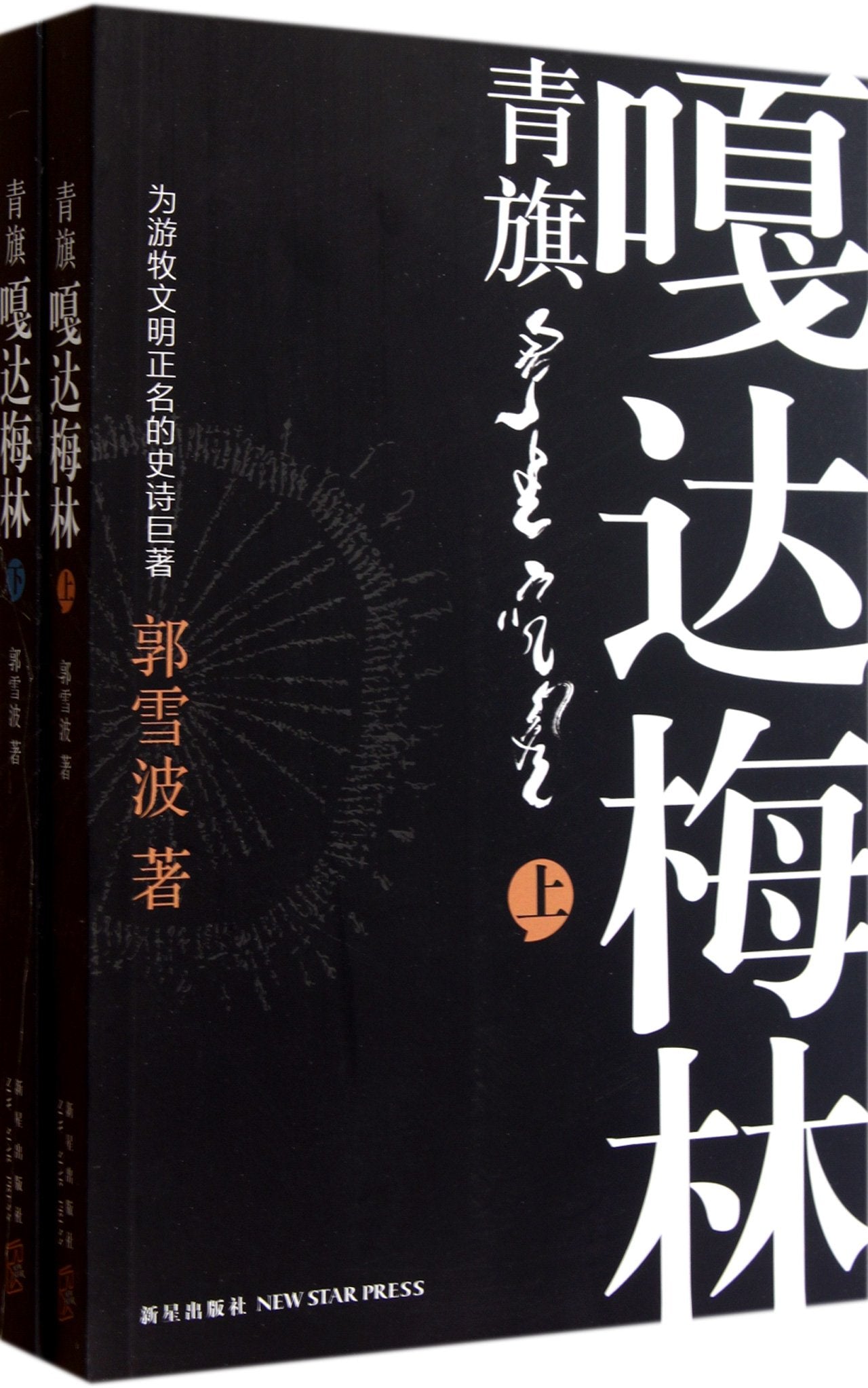 Green Flag: Gada Meilin (Chinese Edition) Books