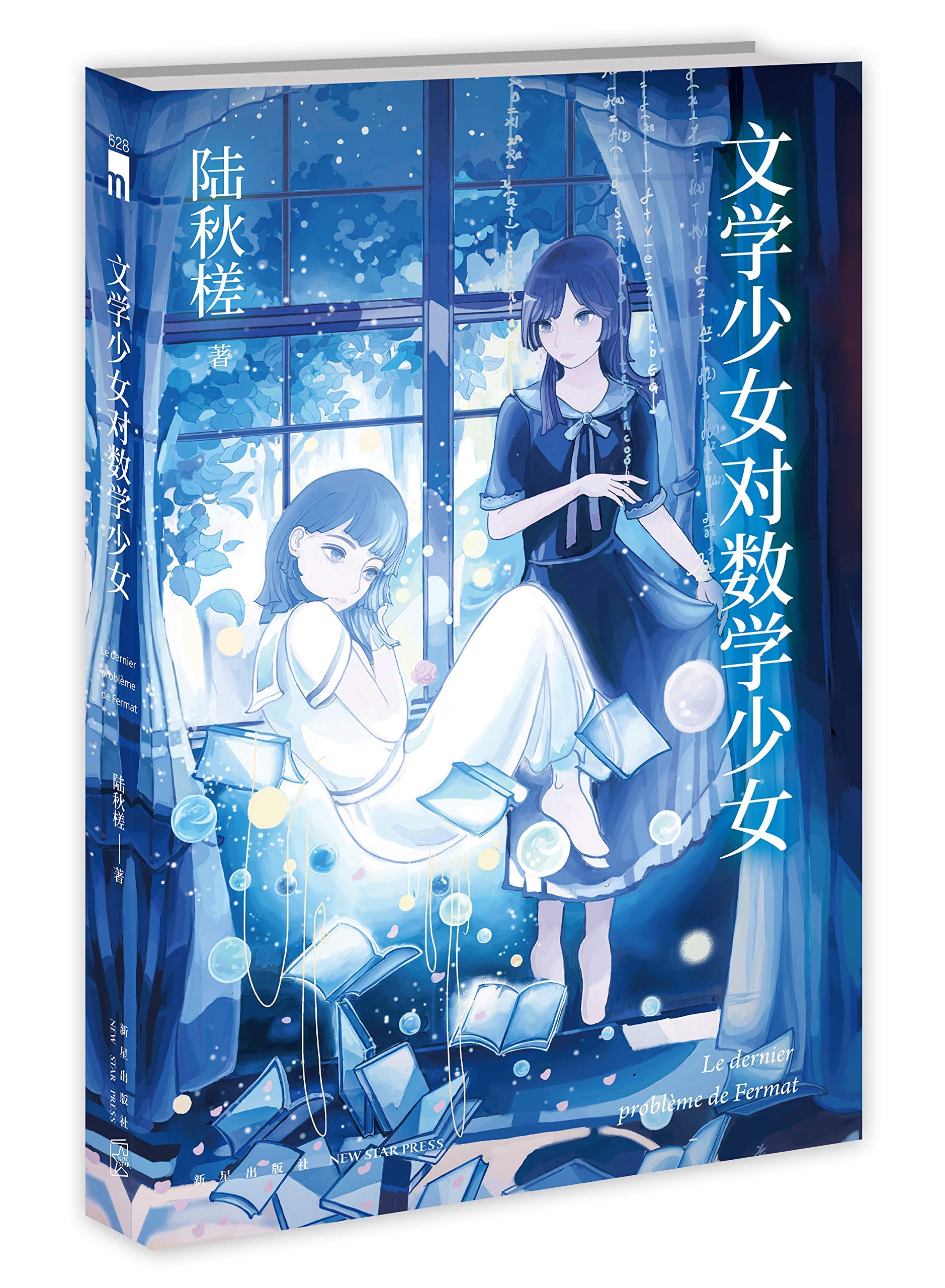 The Literature Girl And the Math Girl (Chinese Edition) Books