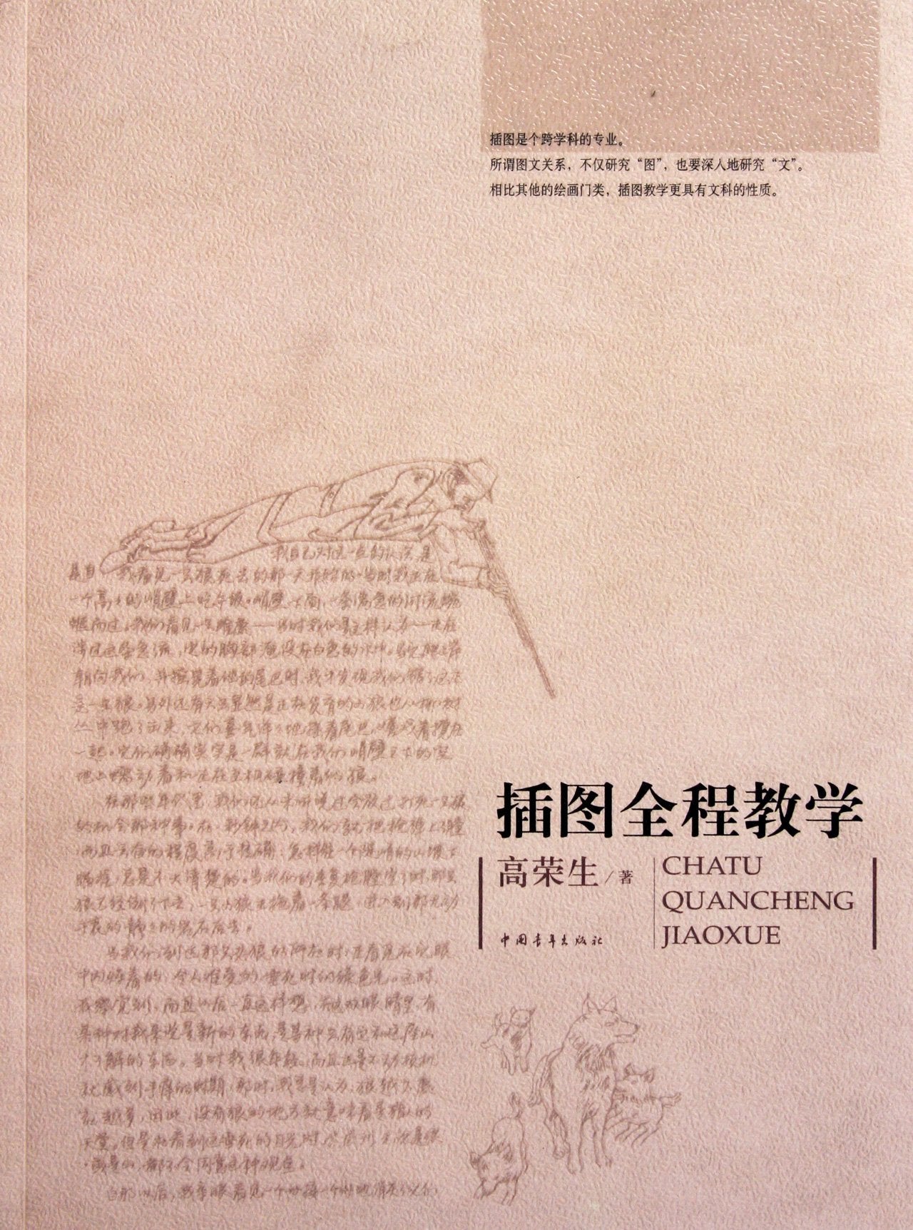 插图全程教学 高荣生 中国青年出版社 9787515300528 Books