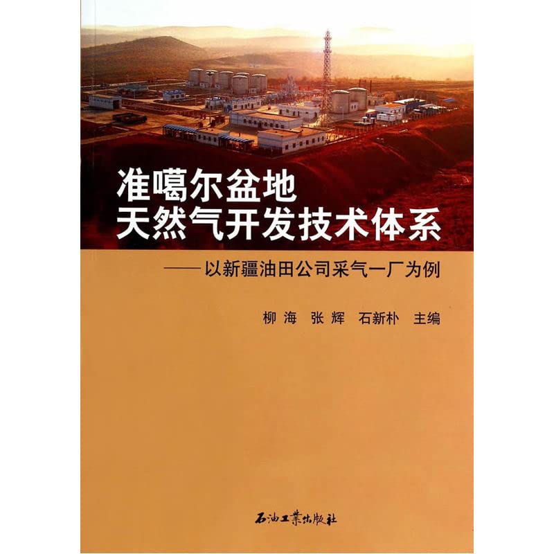 准噶尔盆地天然气开发技术体系 Books