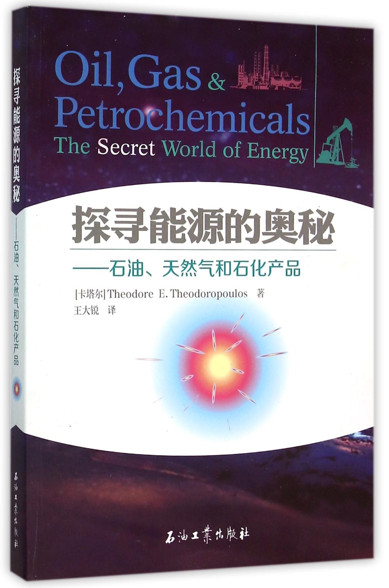 探寻能源的奥秘——石油、天然气和石化产品 9787518300334 Books