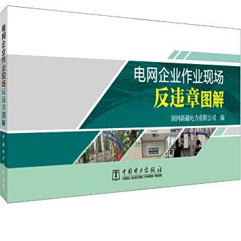 电网企业作业现场反违章图解 book