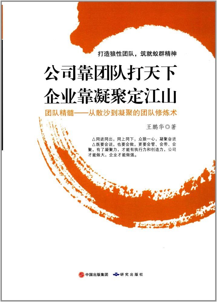 正版现货公司靠团队打天下 企业靠凝聚定江山升本土化的打造中国公司团队力量的改造手册实现从狼性 到群狼的进化 一般管理学团队 Books