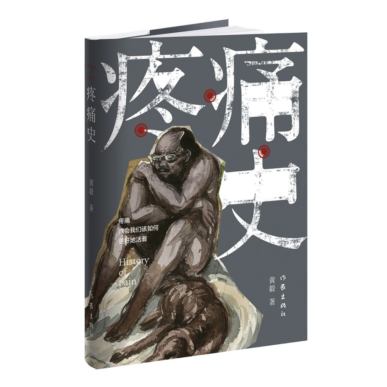 ¿¿¿ History Of Pain Contemporary literature