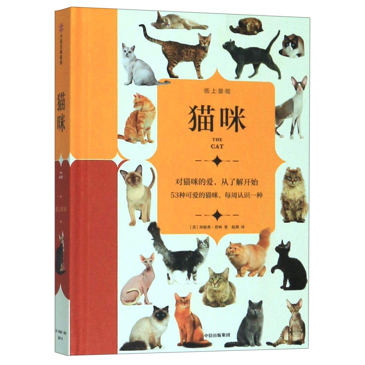 纸上景观：狗狗和猫咪（套装共2册）珍妮弗·普林 安妮特·康恩 著 中信出版社/ 童书 绘本科普读物书籍 book