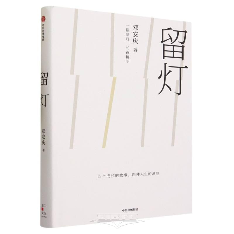 留灯 邓安庆著 实力派青年作家邓安庆突破自我的一次写作 纸上王国 柔软的距离 山中的糖果 我认识了一个索马里海盗等书作者新作 中信出版社 book