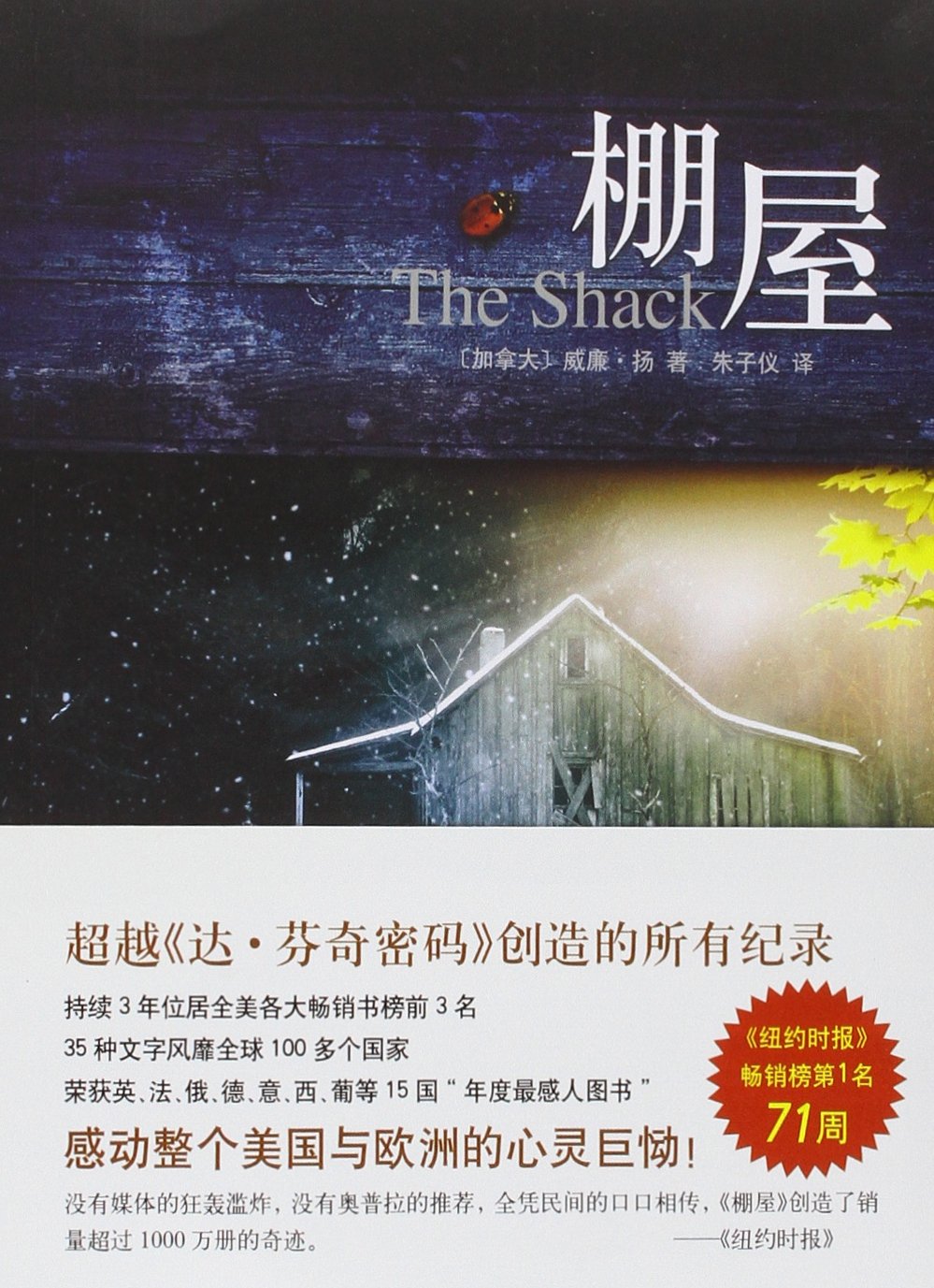 The Shack book