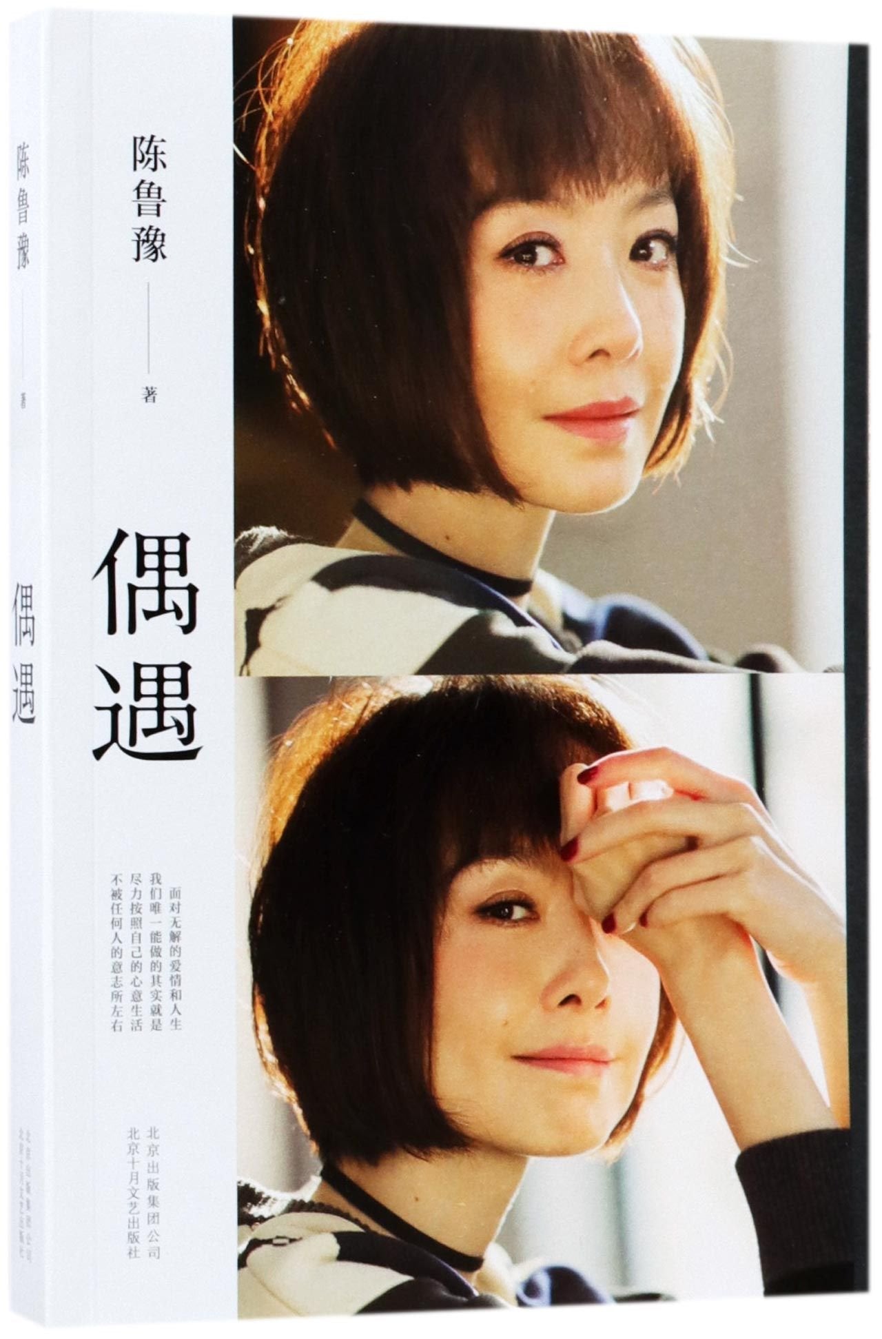 正版现货 偶遇 陈鲁豫著继心相约后新书 现当代随笔作品集关于爱的智慧之书回答现当代文学随笔书籍排行榜 book