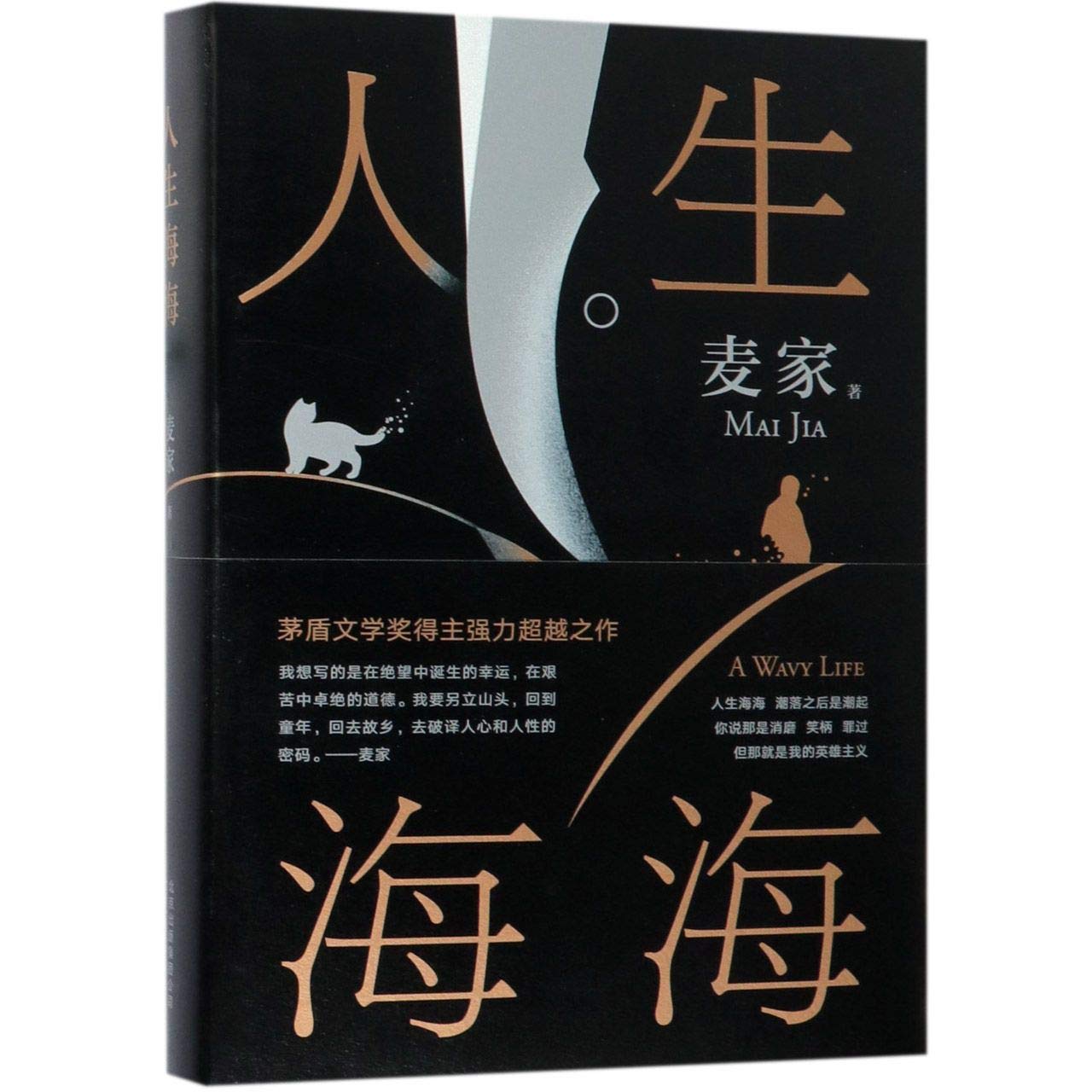 Life Is Like Ocean (Chinese Edition) Books