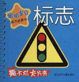 聪明宝贝脑力启蒙书：标志 book