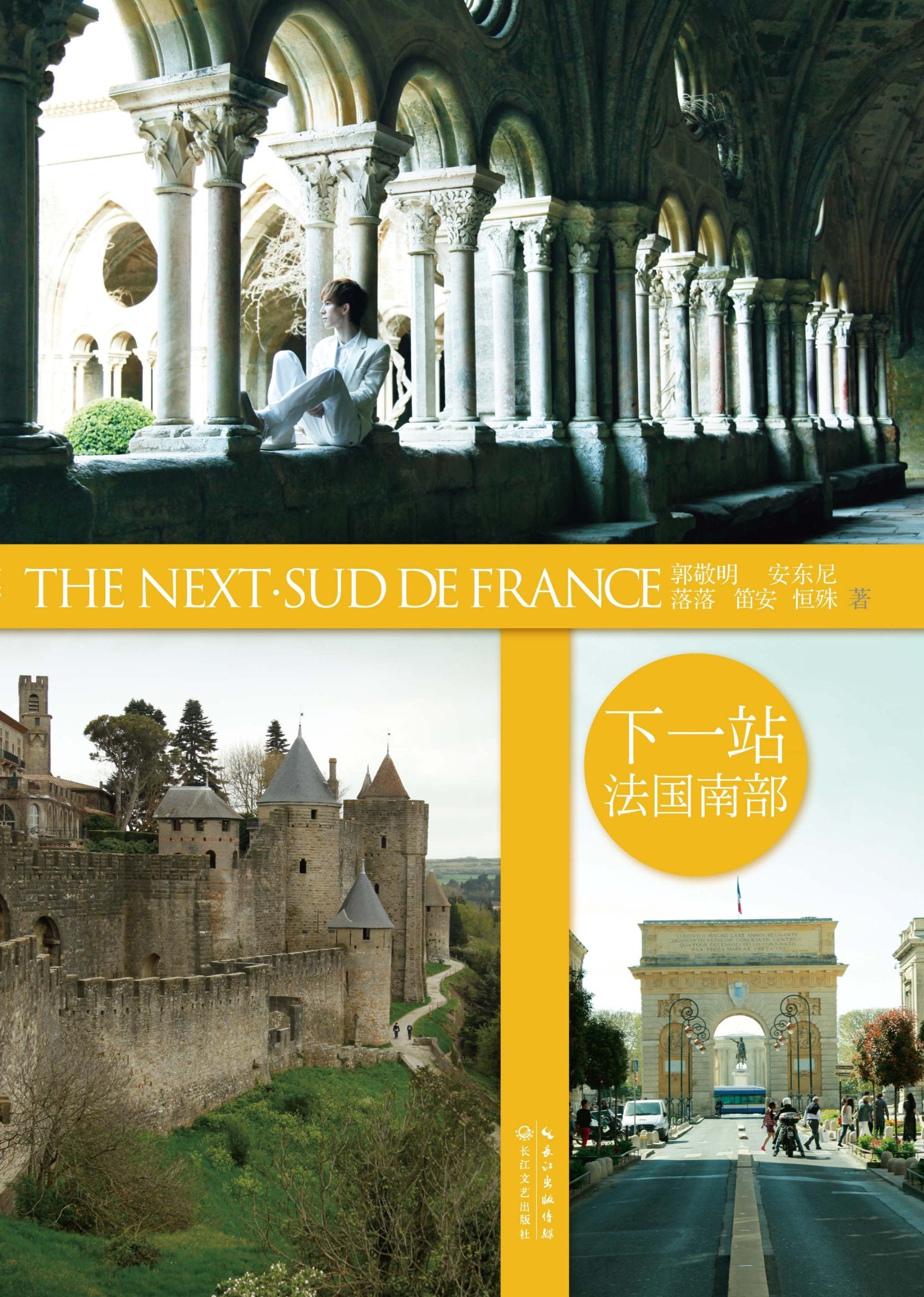 The Next - Sud de France book
