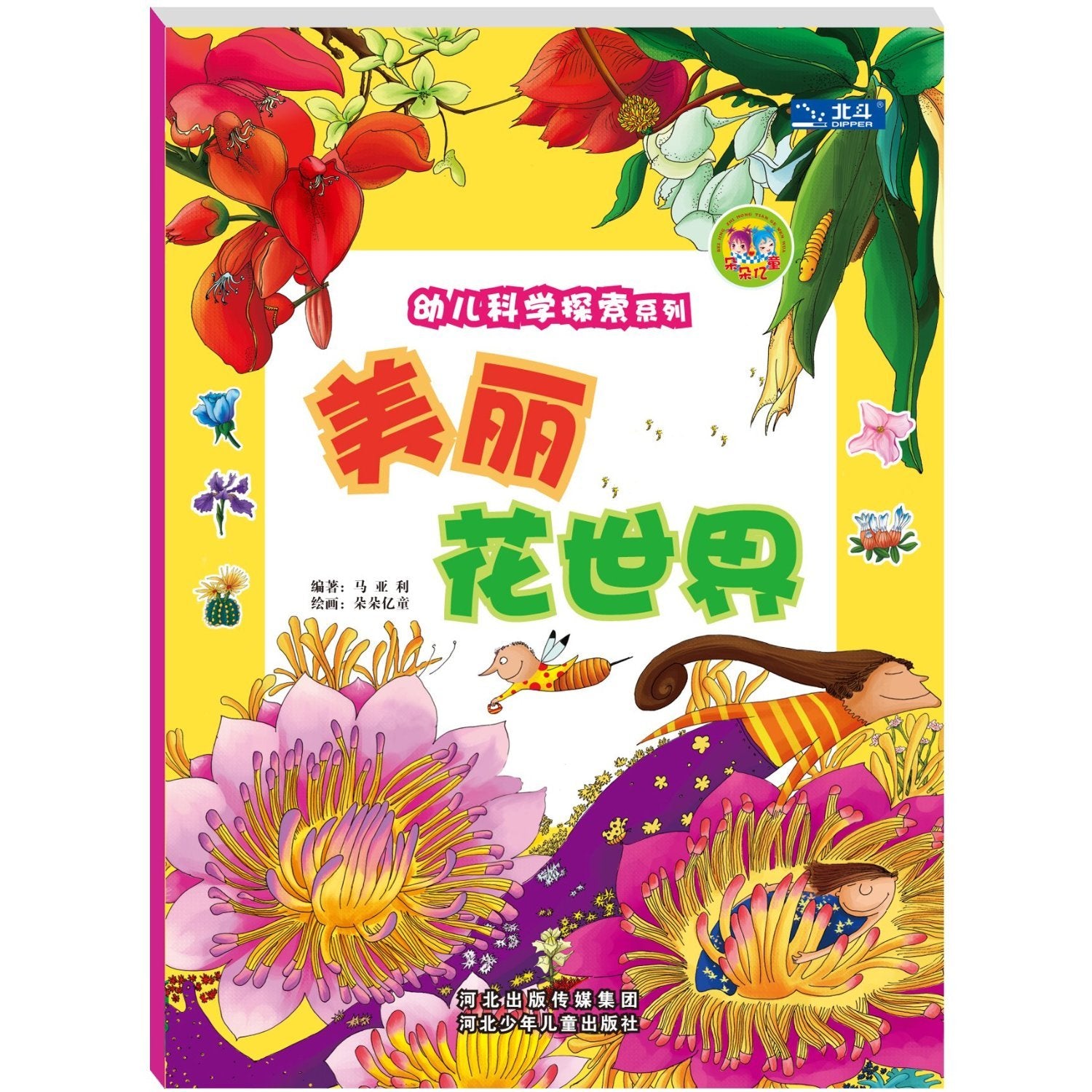 The Beautiful Flowers World (Chinese Edition) book