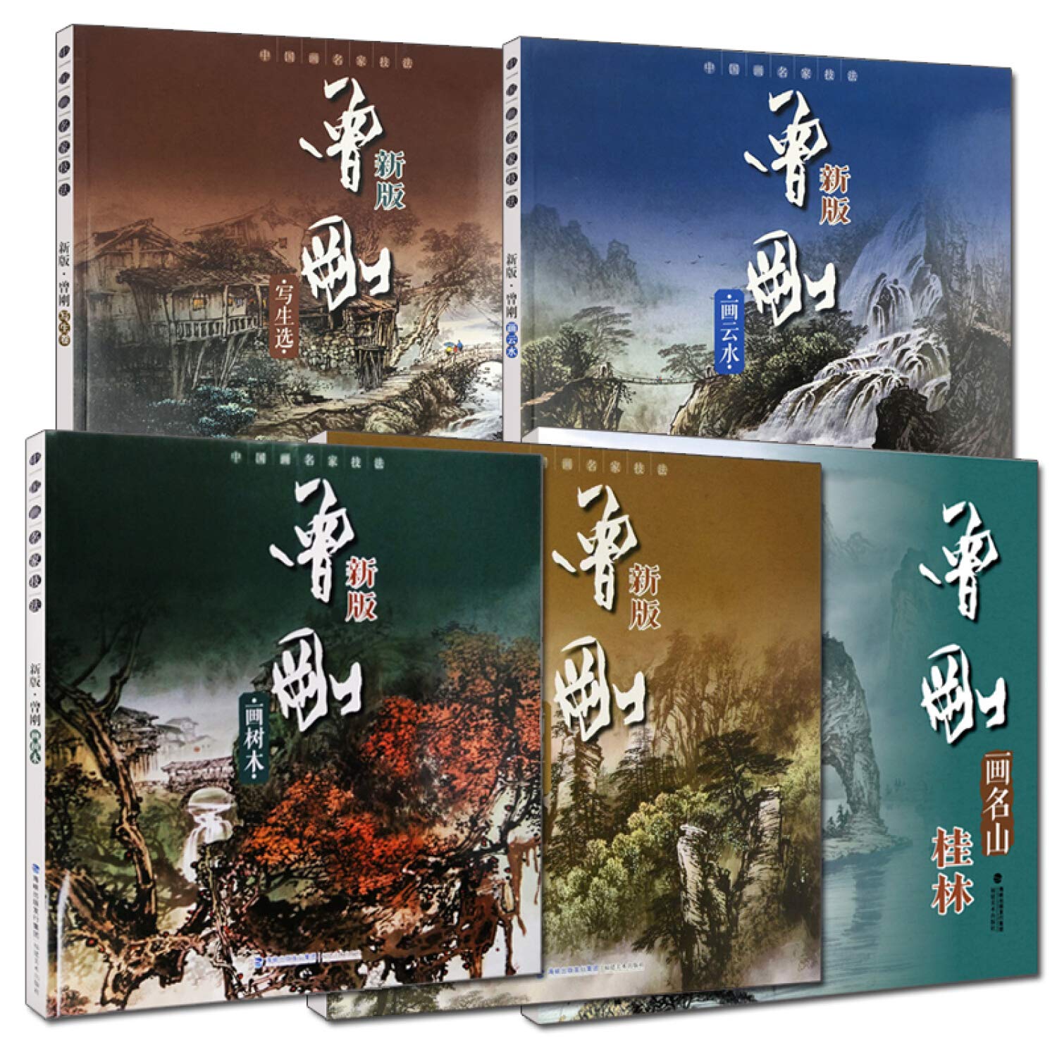 Books Chinese landscape painting techniques: painting had just selected by CENG GANG (1991-05-04) Books
