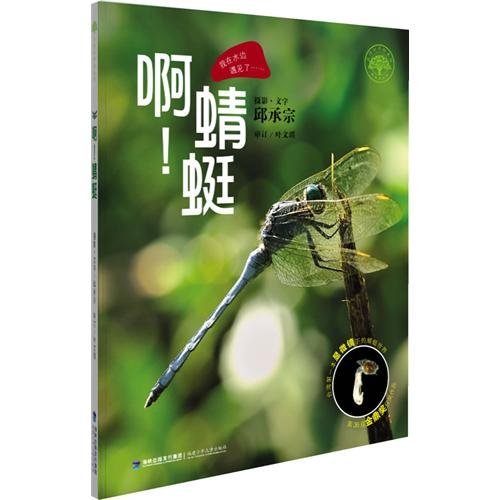 蜻蜓眼正版曹文轩小学生三四五年级课外儿童书9-12岁读物/曹 Books