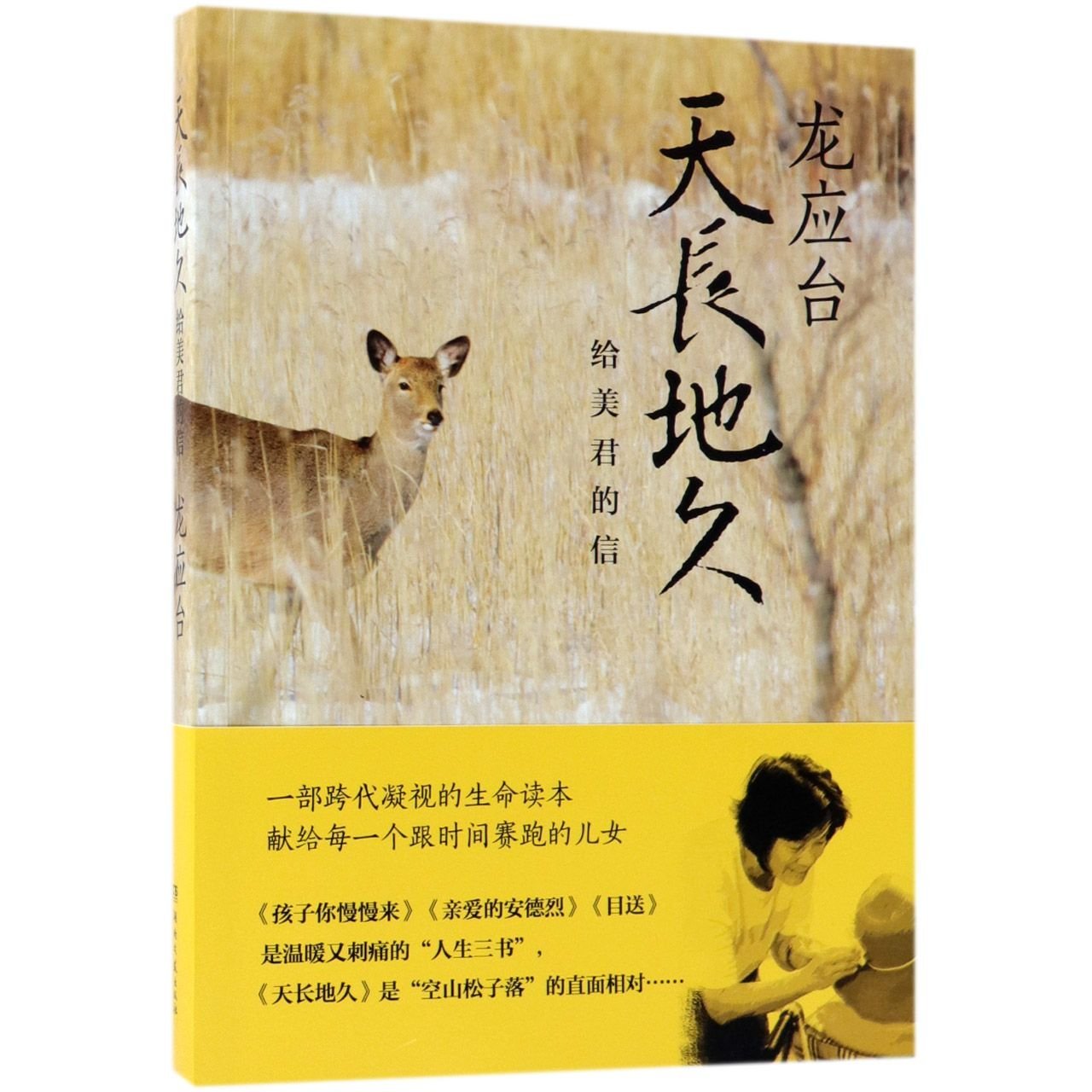 现货速发龙应台2018新书 天长地久:给美君的信 龙应台著 继人生三书目送孩子你慢慢来亲爱的安德烈之后新书 现当代文学书籍以售价为准，售价高于定价，介意者勿购 book