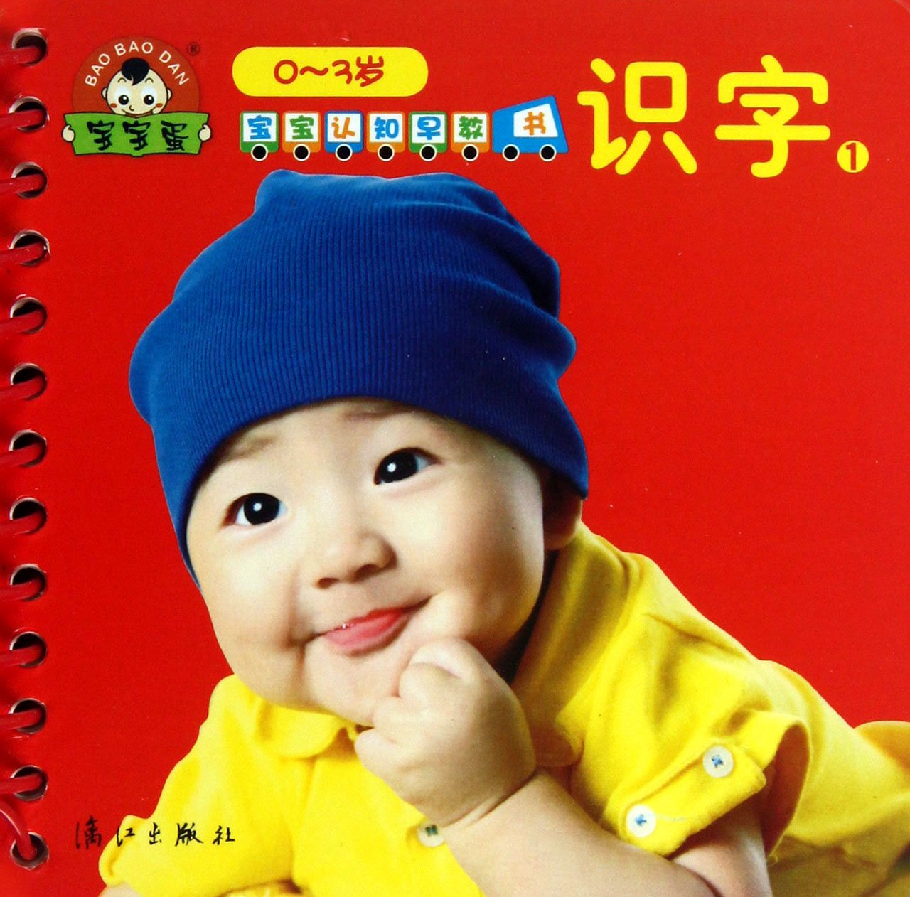 "宝宝认知早教书 识字1" book