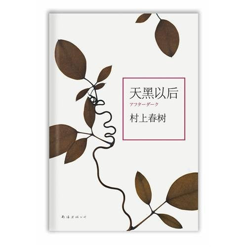 天黑以后 book