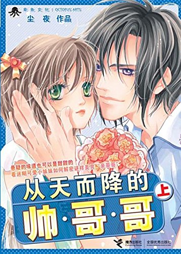 从天而降的帅哥哥(上) Books