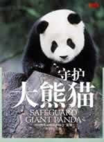 【旧书二手书9成新】守护* 罗小韵 上海世纪出版股份有限公司发行中心（上海锦 Books