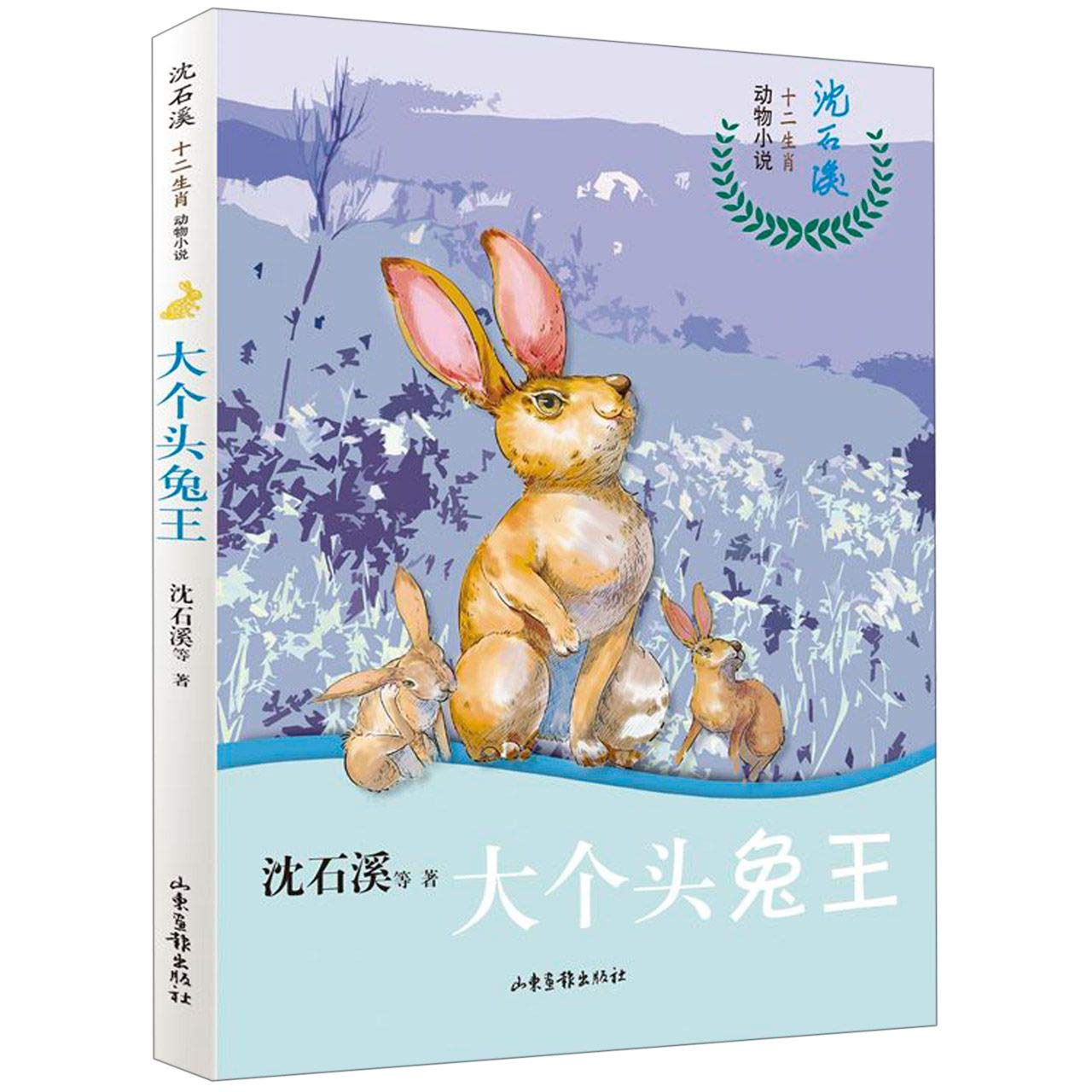 沈石溪十二生肖动物小说——大个头兔王 Books