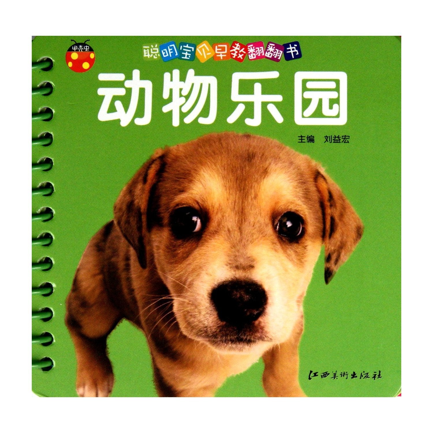 动物乐园/聪明宝贝早教翻翻书卡全12册数数学拼音动物世界水果蔬菜学唐诗学儿歌识字小手撕不烂破早教启蒙认知卡片0-2-3岁 Books