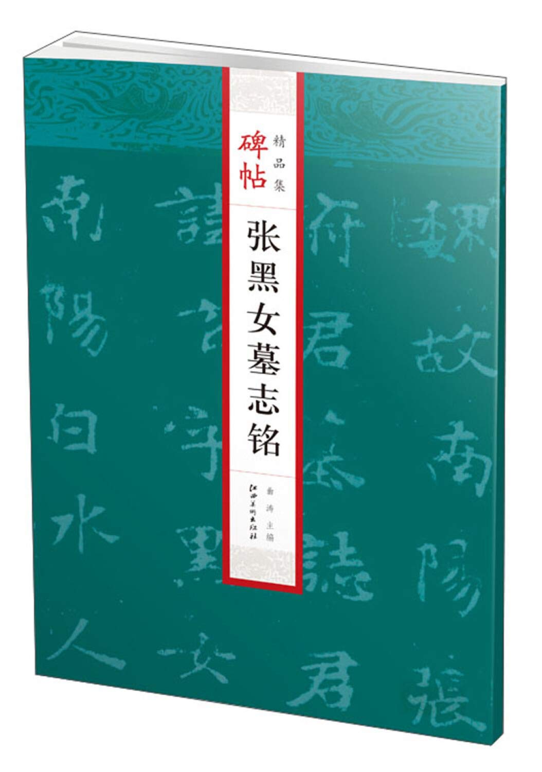 碑帖精品集·张黑女墓志铭-魏碑 精选放大 技法解析 Books