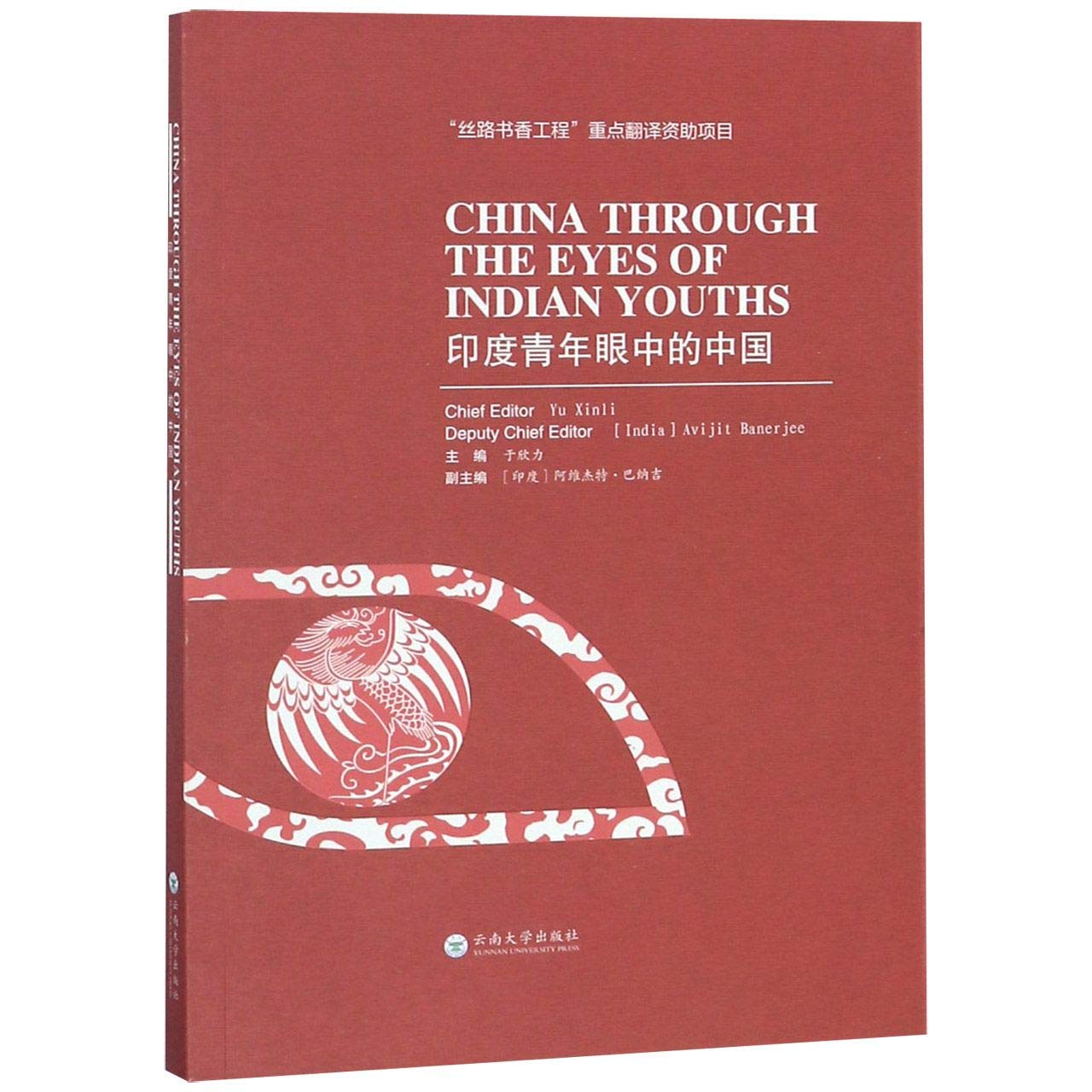 印度青年狂想曲 印度青年狂想曲 司妮达·普拉姆著 于果果译 黄灯 刘子超推荐《金融时报》年度好书 世纪文景 上海人民出版社 book