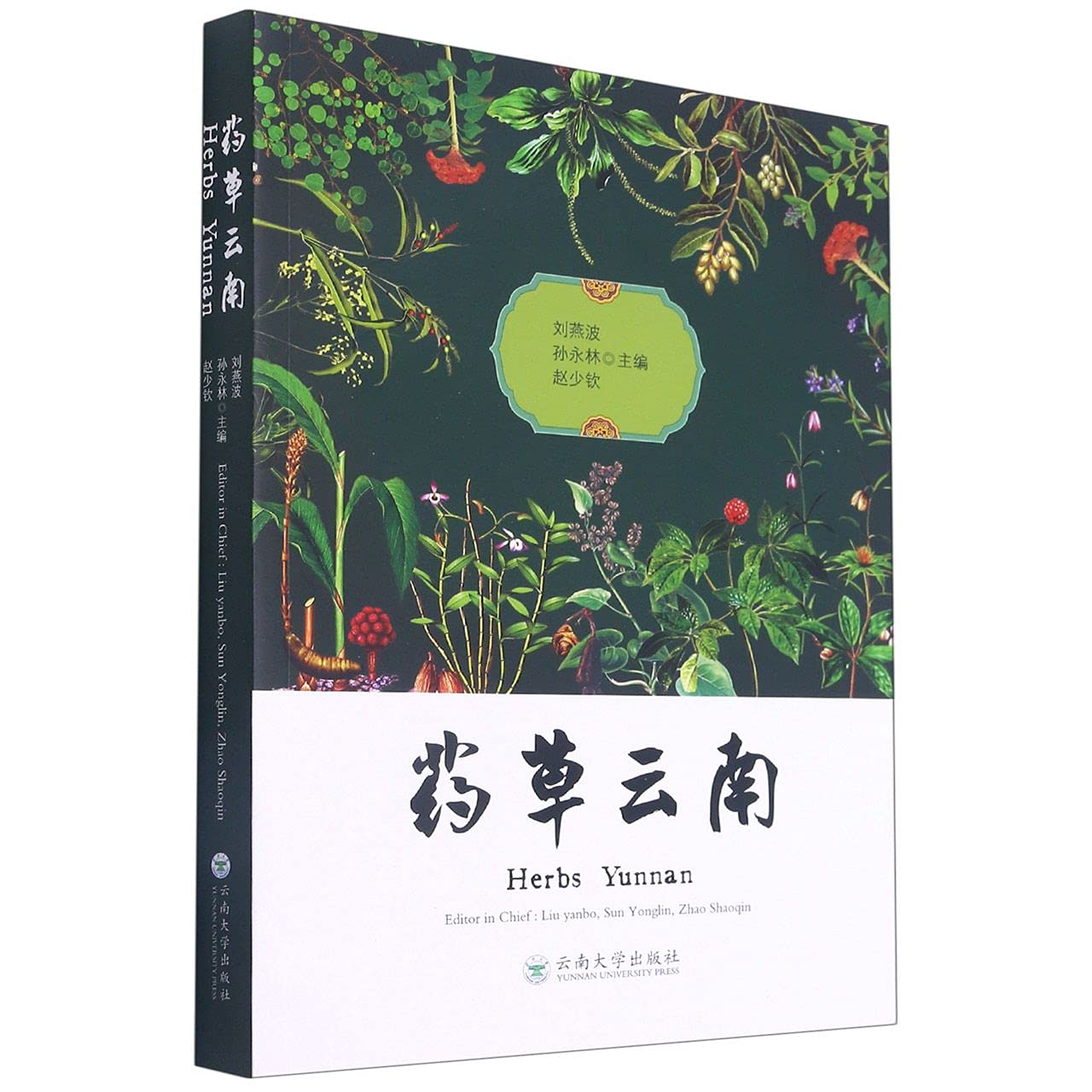 药云南 刘燕波孙永林赵少钦 云南大学出版社 9787548239154 book