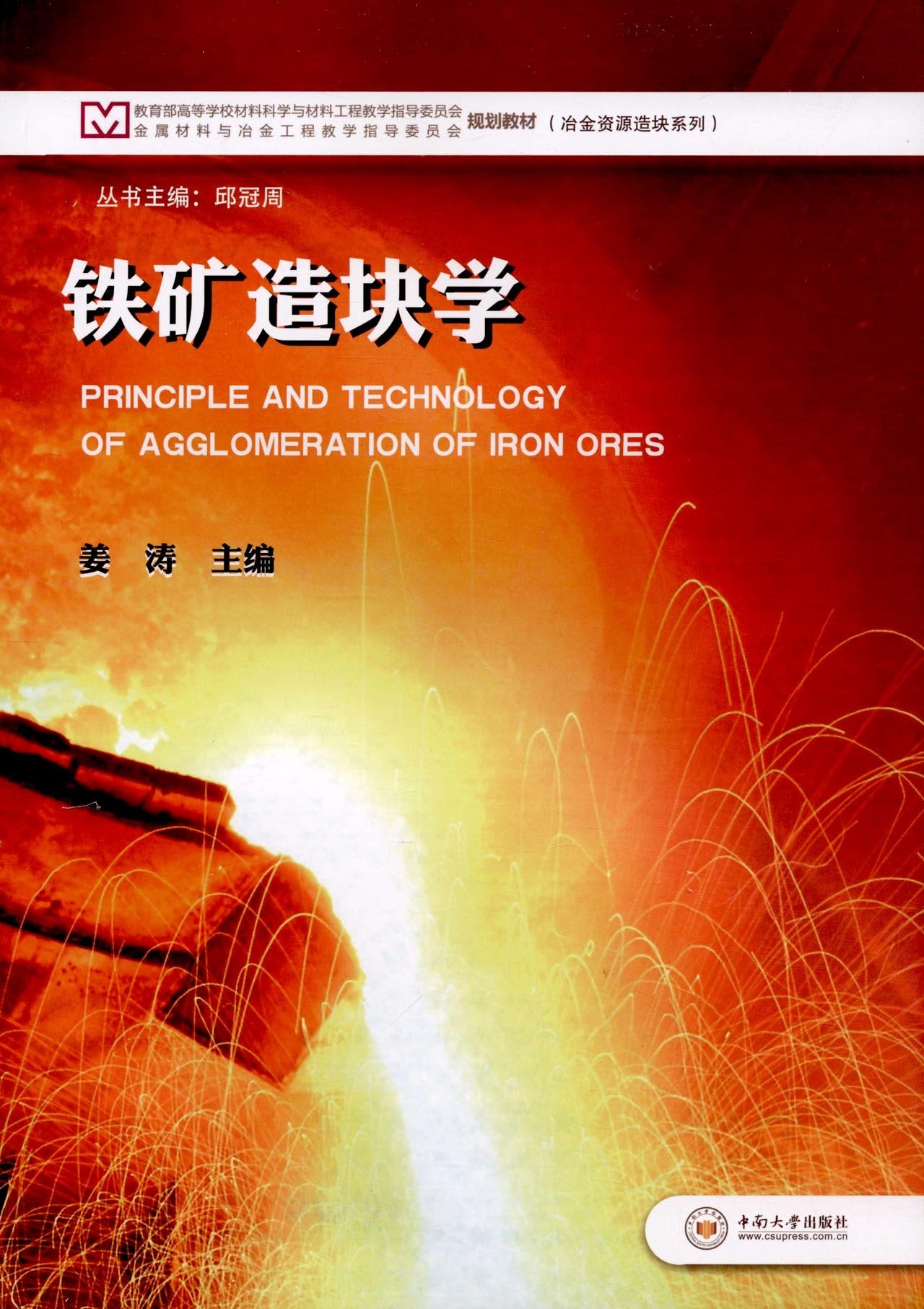 现代冶金与材料过程工程丛书：炼钢过程中的夹杂物 book