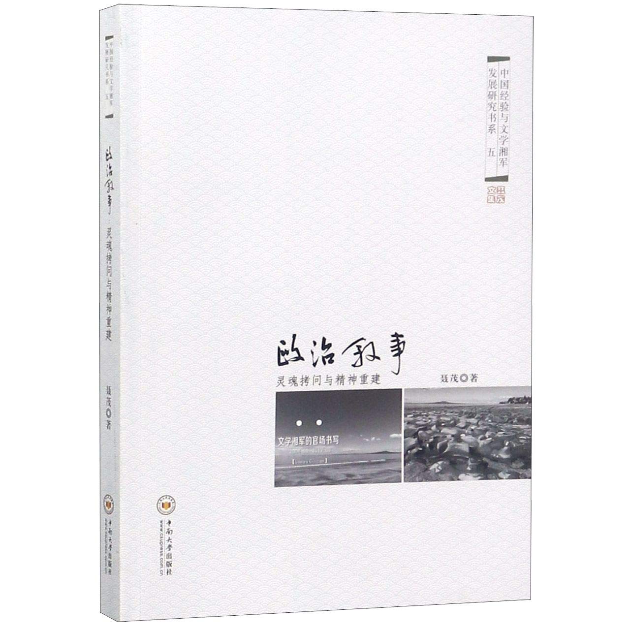 政治叙事:灵魂拷问与精神重建 book