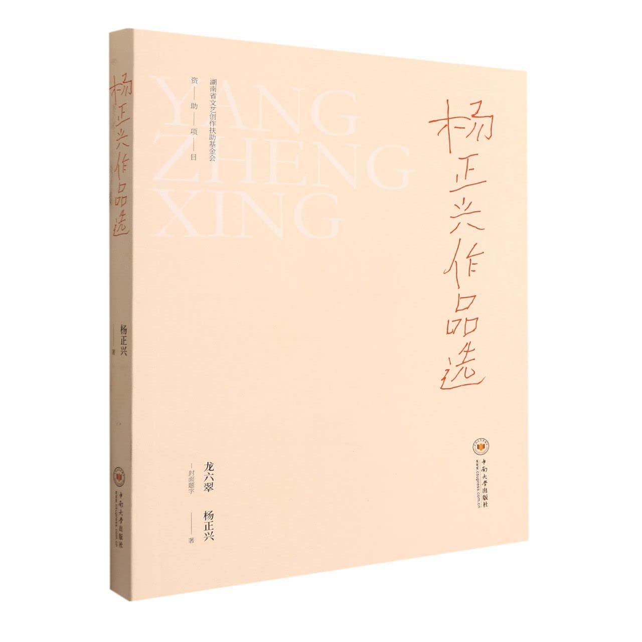 杨正兴作品选 book
