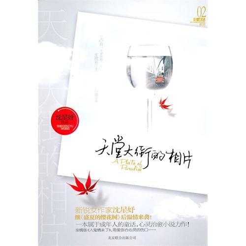 A Photo from the Heaven Street (Chinese Edition) Books