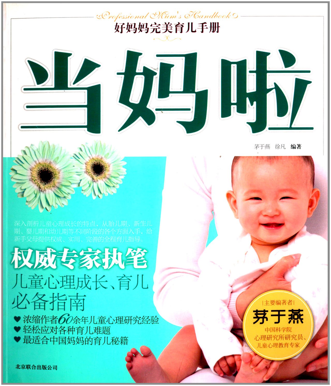 好妈妈完美育儿手册：当妈啦 Books