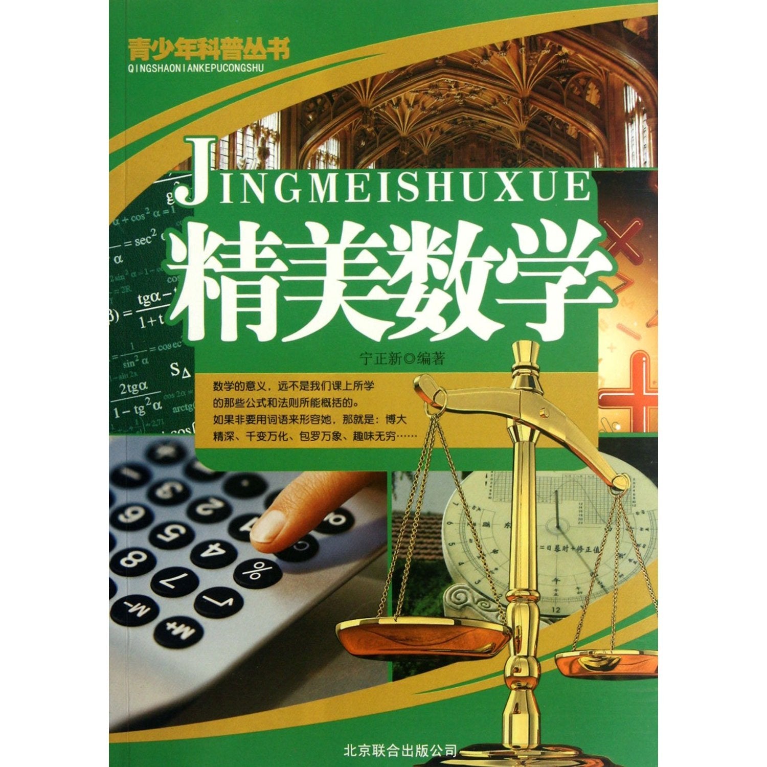 【封面有磨痕-TSW】--青少年科普丛书：精美数学 9787550204744 Books