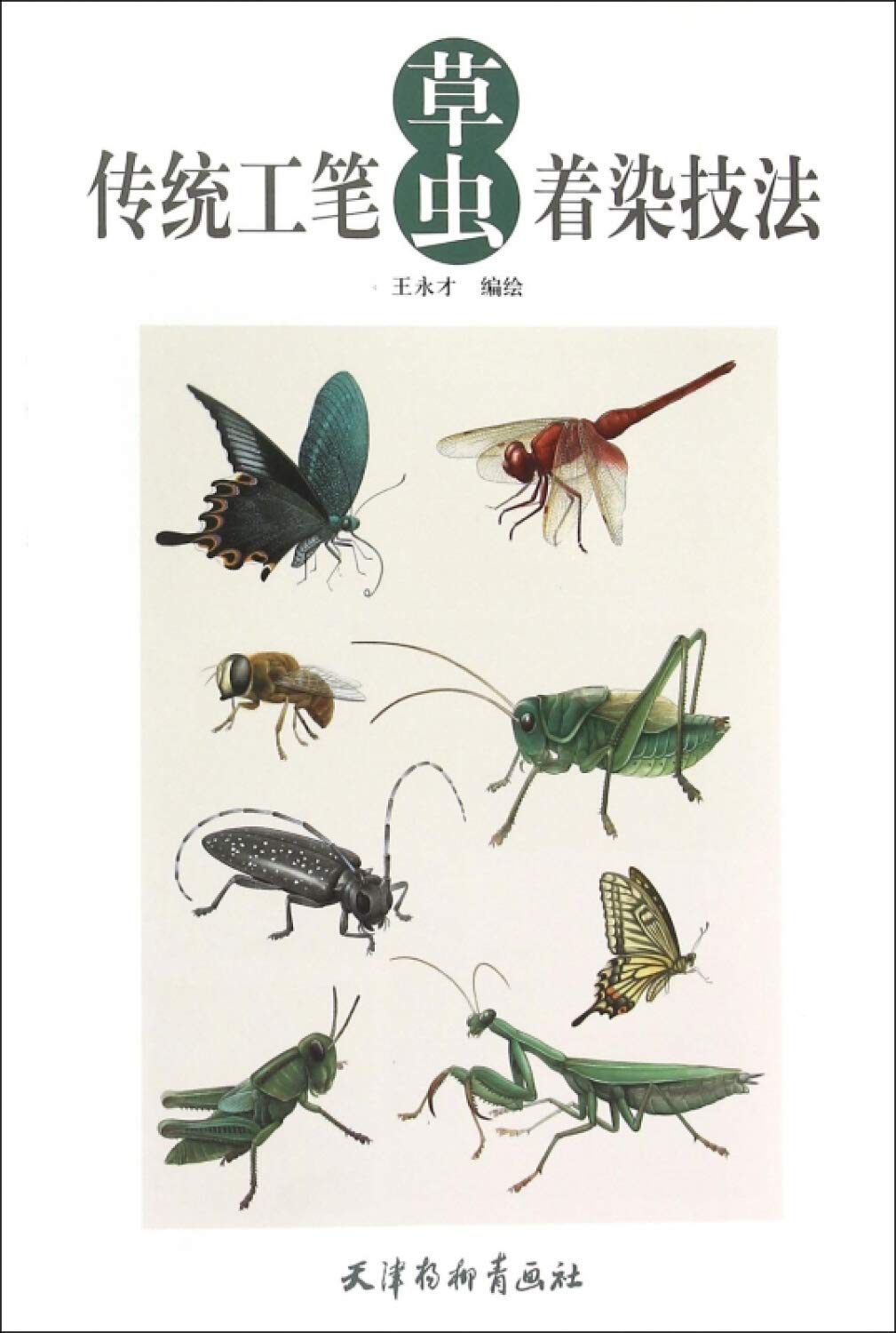 传统工笔草虫着染技法 Books