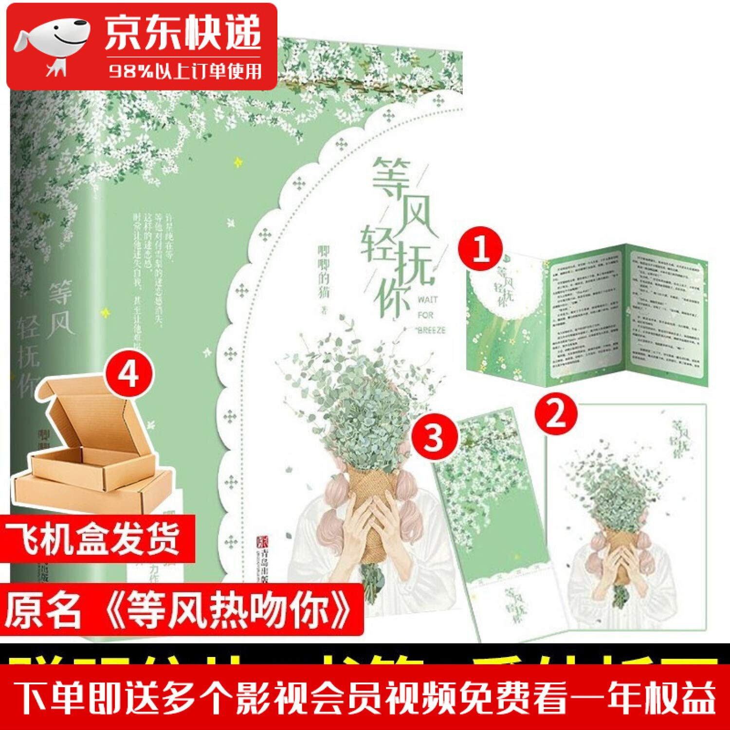 等风轻抚你（全二册）（网络原名《等风热吻你》） book