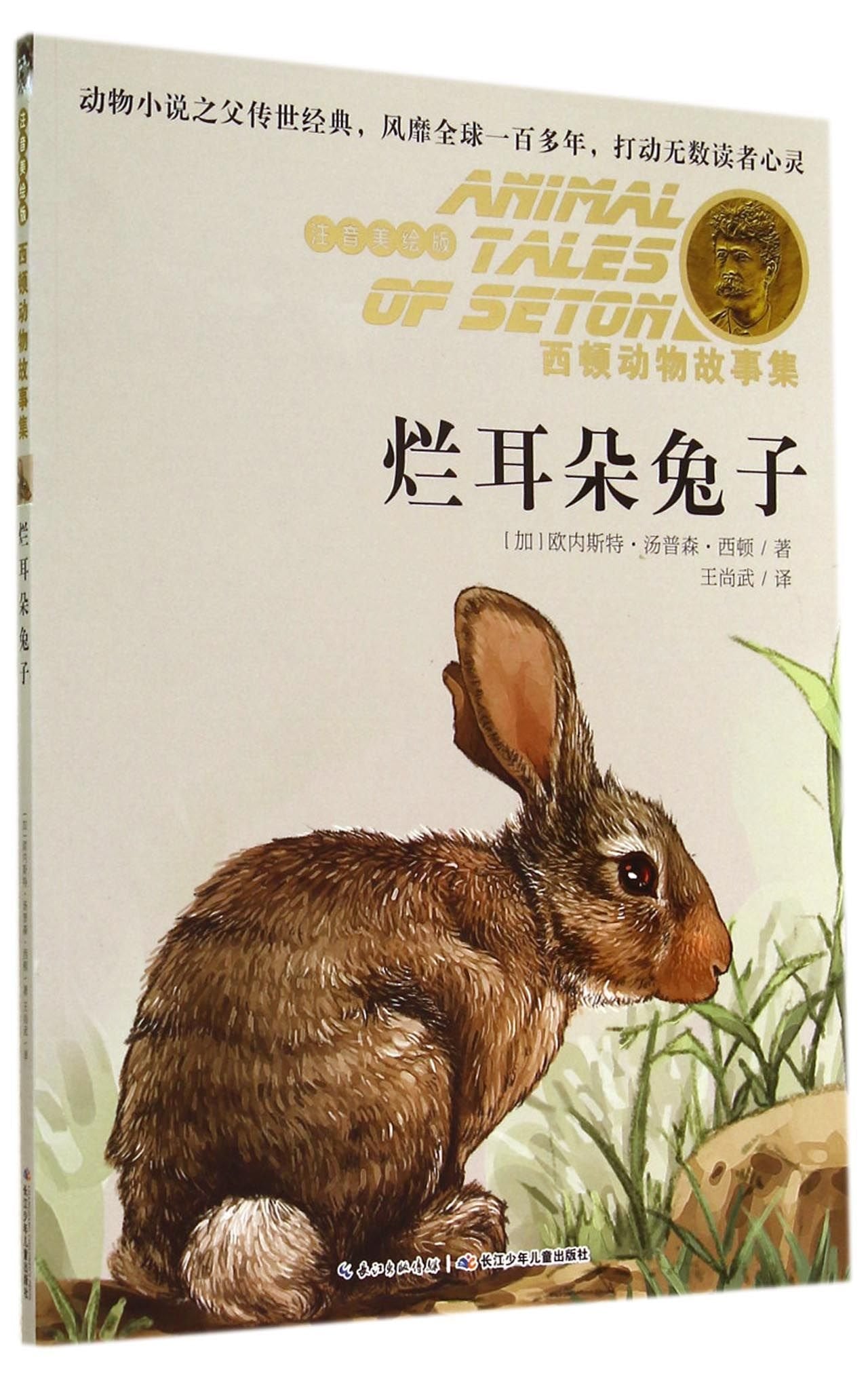 西顿动物故事集:烂耳朵兔子(注音美绘版) Books