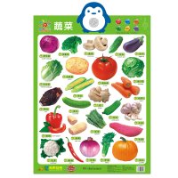 有声挂图(新版)蔬菜 book