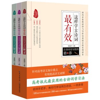 这样学古诗词最有效套装（全3册）高中生古诗词课外阅读 高考语文加分学习写作辅导书 book