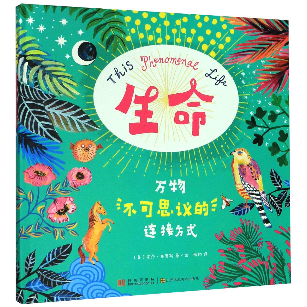 This Phenomenal Life: The Amazing Ways We Are Connected with Our Universe (Chinese Edition) Children's books