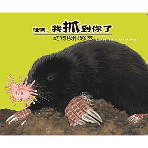 动物极限感觉 哇哦，我抓到你了 Books